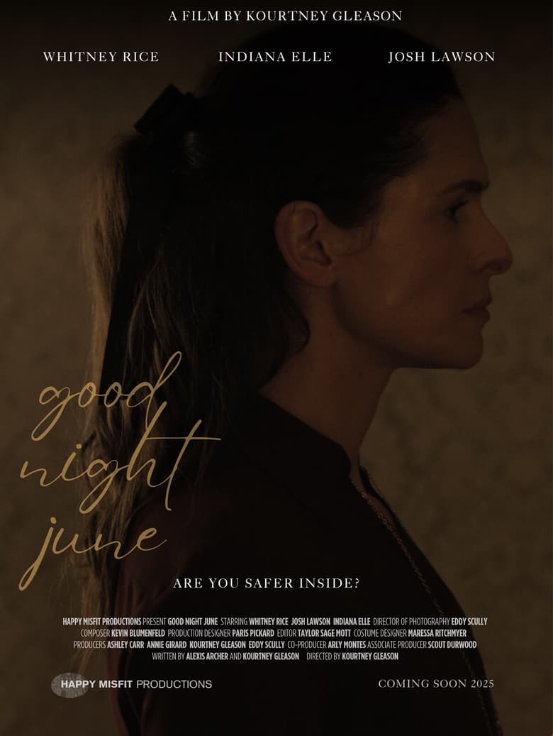 Poster of Good Night June