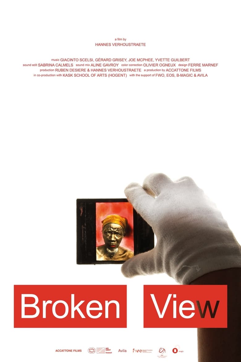 Poster of Broken View