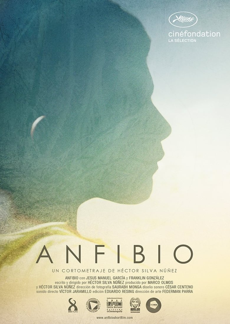 Poster of Anfibio