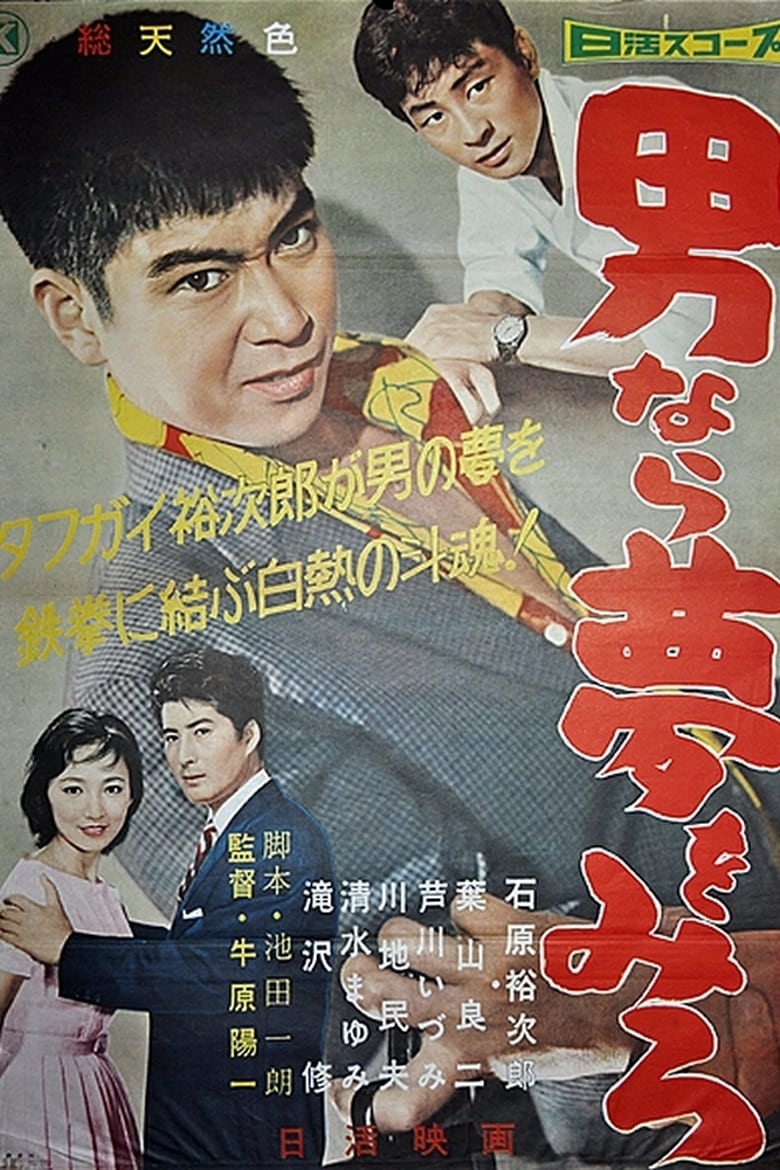 Poster of Dream Young Man's Dream