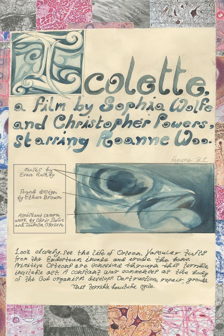 Poster of Icolette