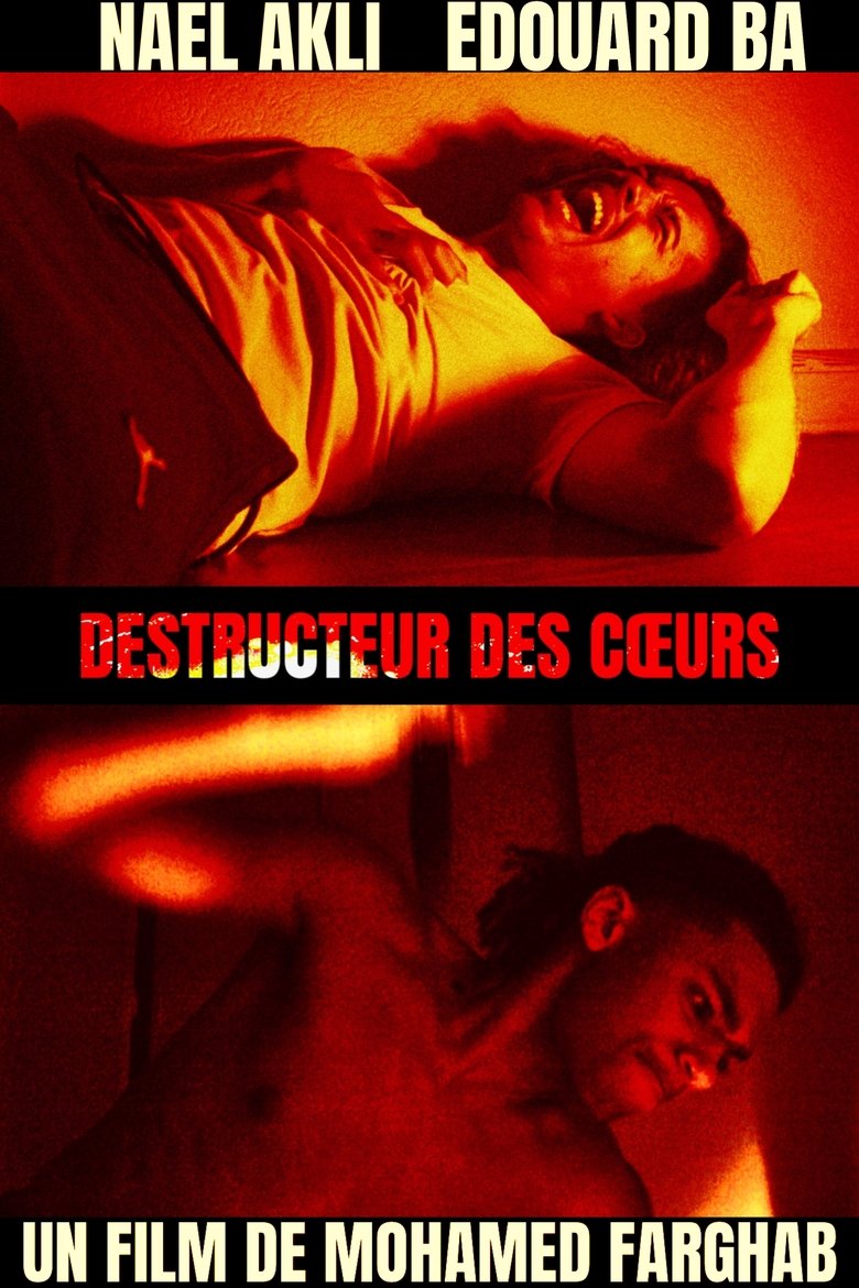 Poster of Destructeur des cœurs