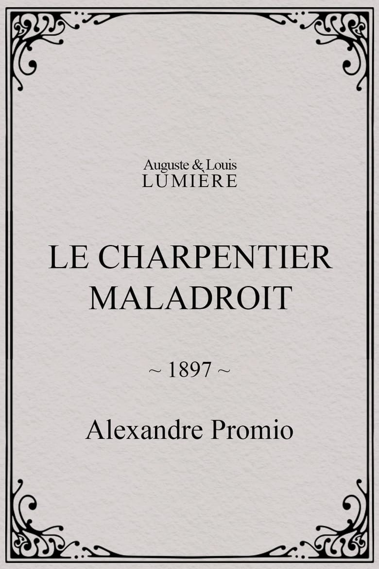 Poster of Le charpentier maladroit