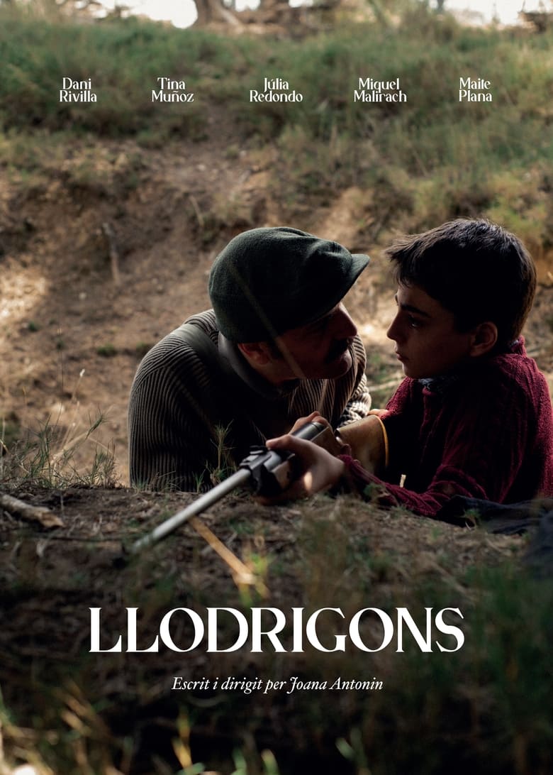 Poster of Llodrigons