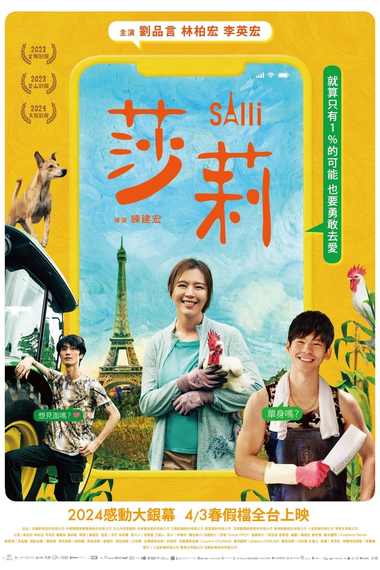 Poster of Salli