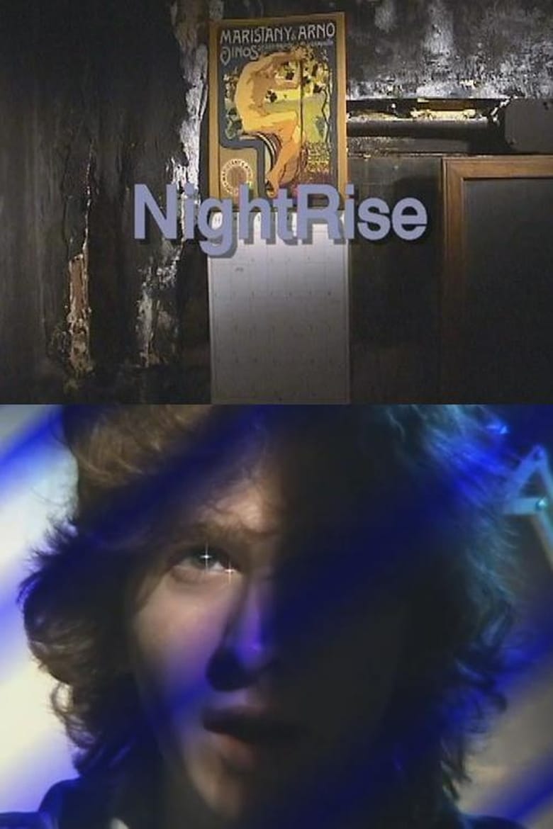 Poster of NightRise