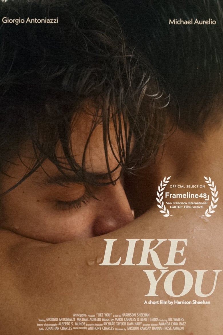 Poster of Like You