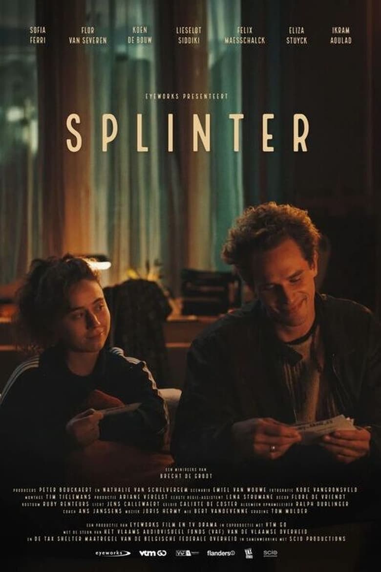 Poster of Splinter