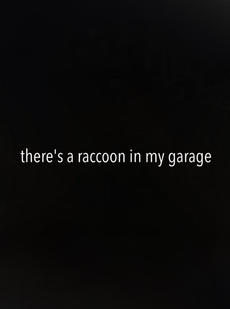 Poster of There's a Raccoon in My Garage