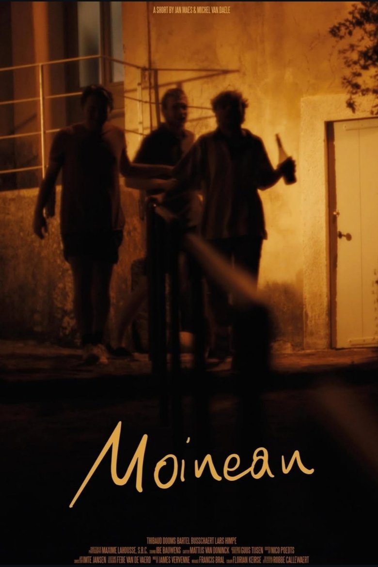 Poster of Moineau