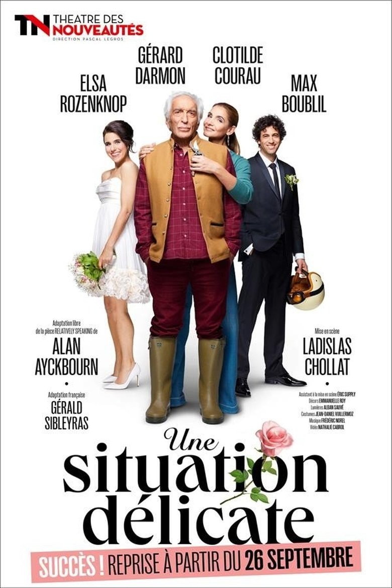 Poster of Une situation délicate