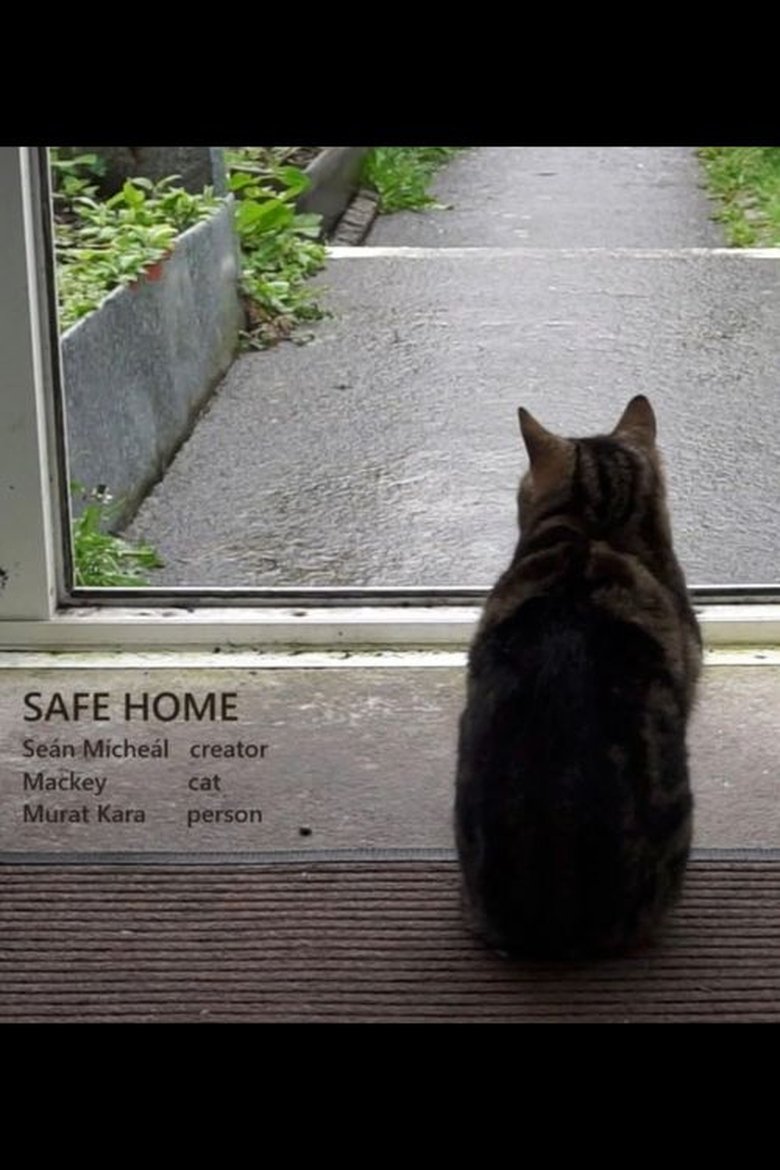 Poster of Safe Home