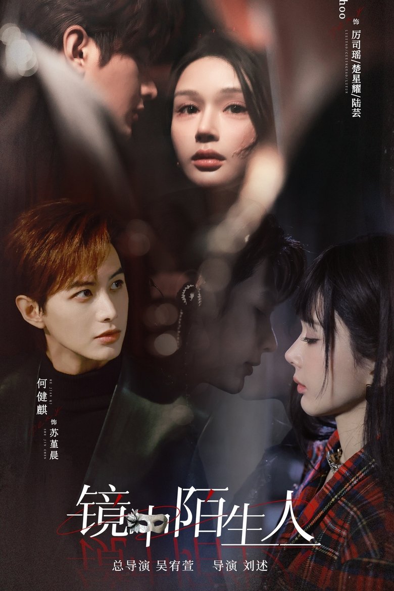Poster of The Stranger in the Mirror