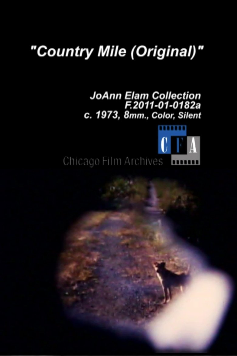 Poster of Country Mile