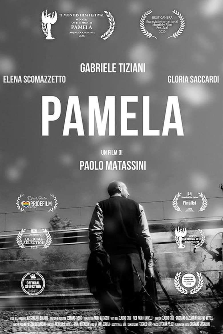 Poster of Pamela