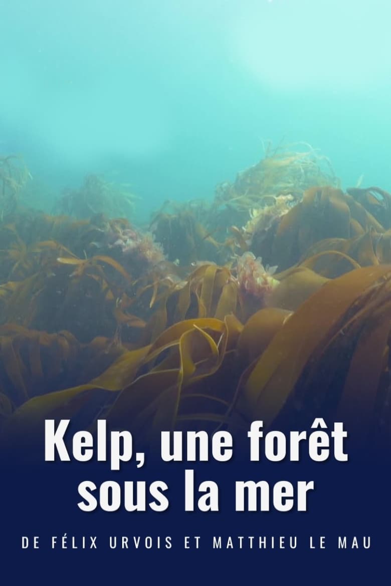 Poster of Kelp, une forêt sous la mer