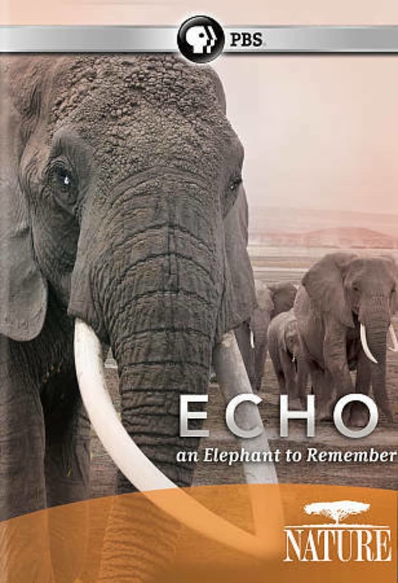 Poster of Echo: An Elephant to Remember