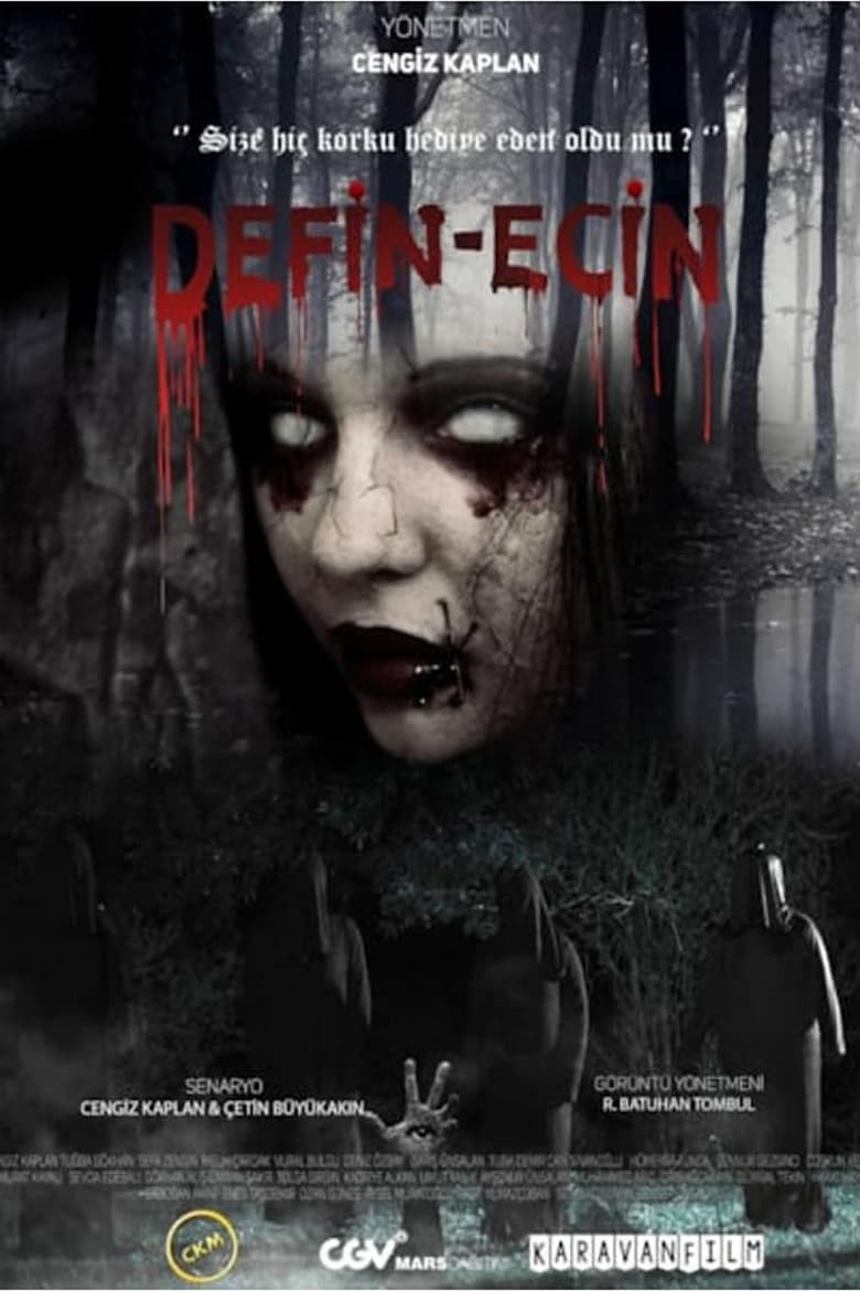 Poster of Defin-Ecin Zulman