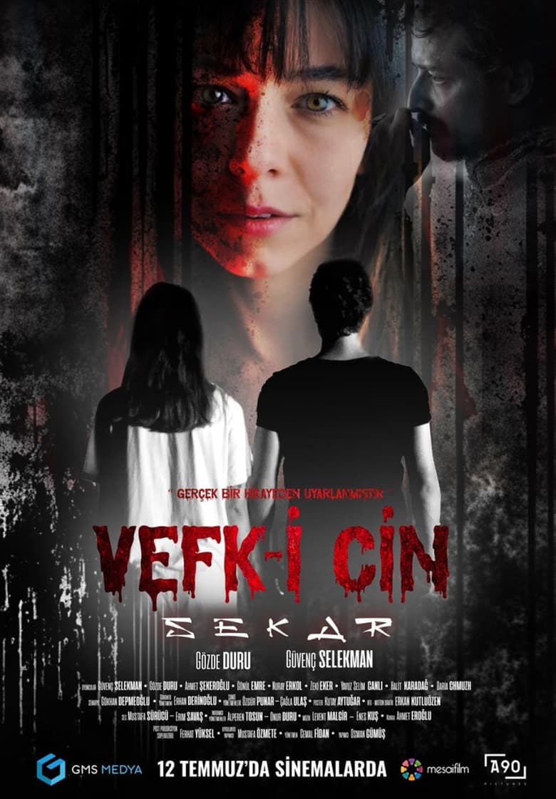 Poster of Vefk-i Cin Sekar