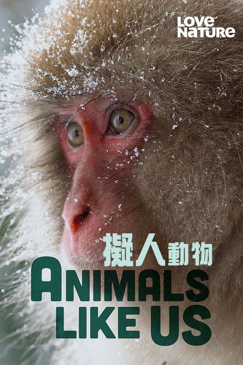 Poster of Episodes in Animals Like Us - Season 1 - Season 1