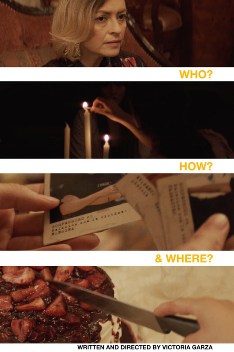 Poster of Who? How? And Where?