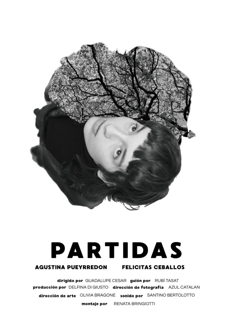 Poster of Partidas