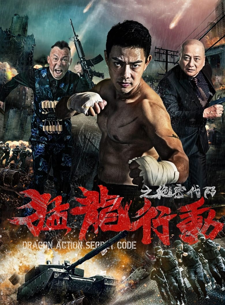 Poster of Dragon Action: Secret Code