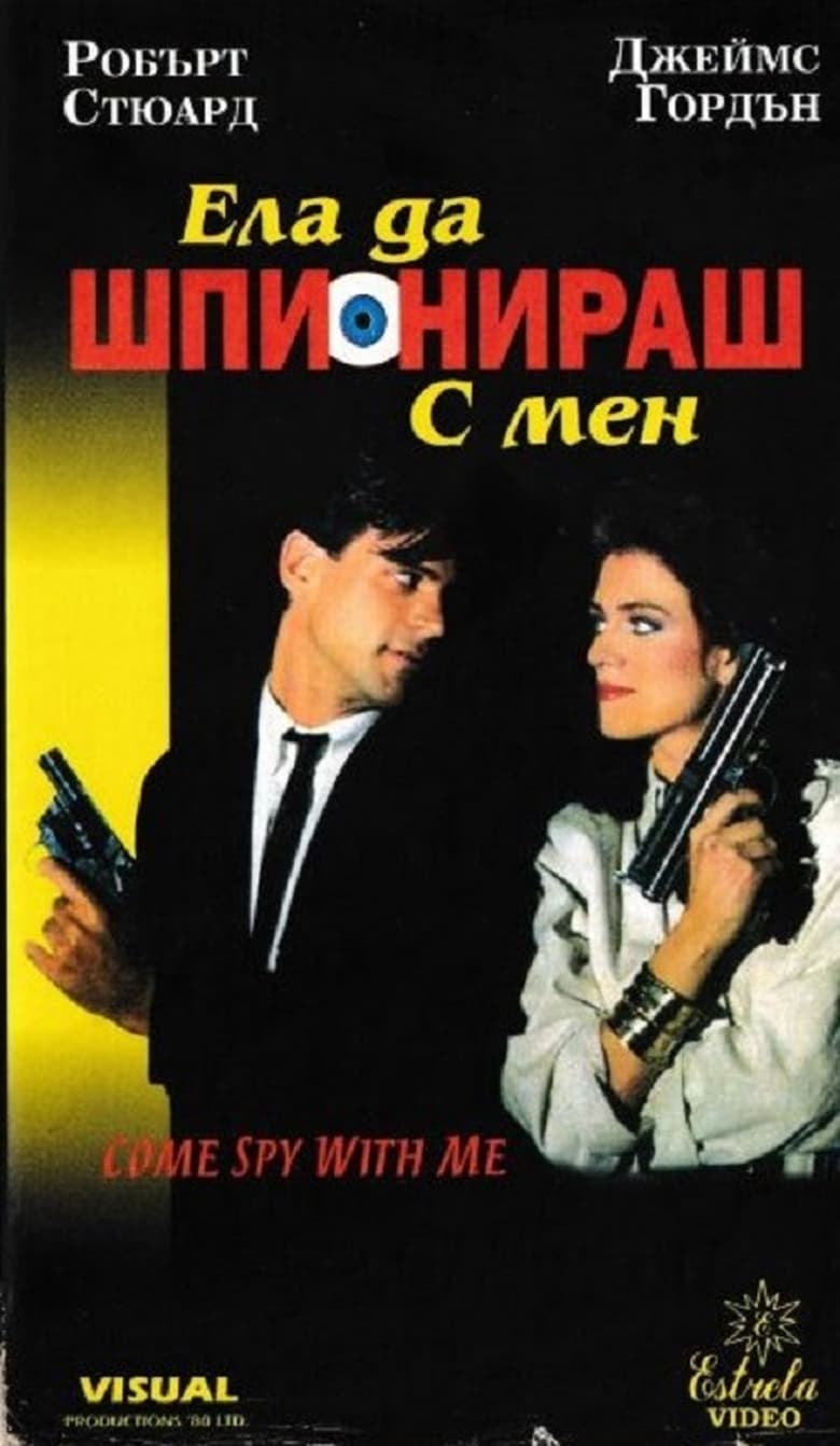 Poster of Come Spy with Me