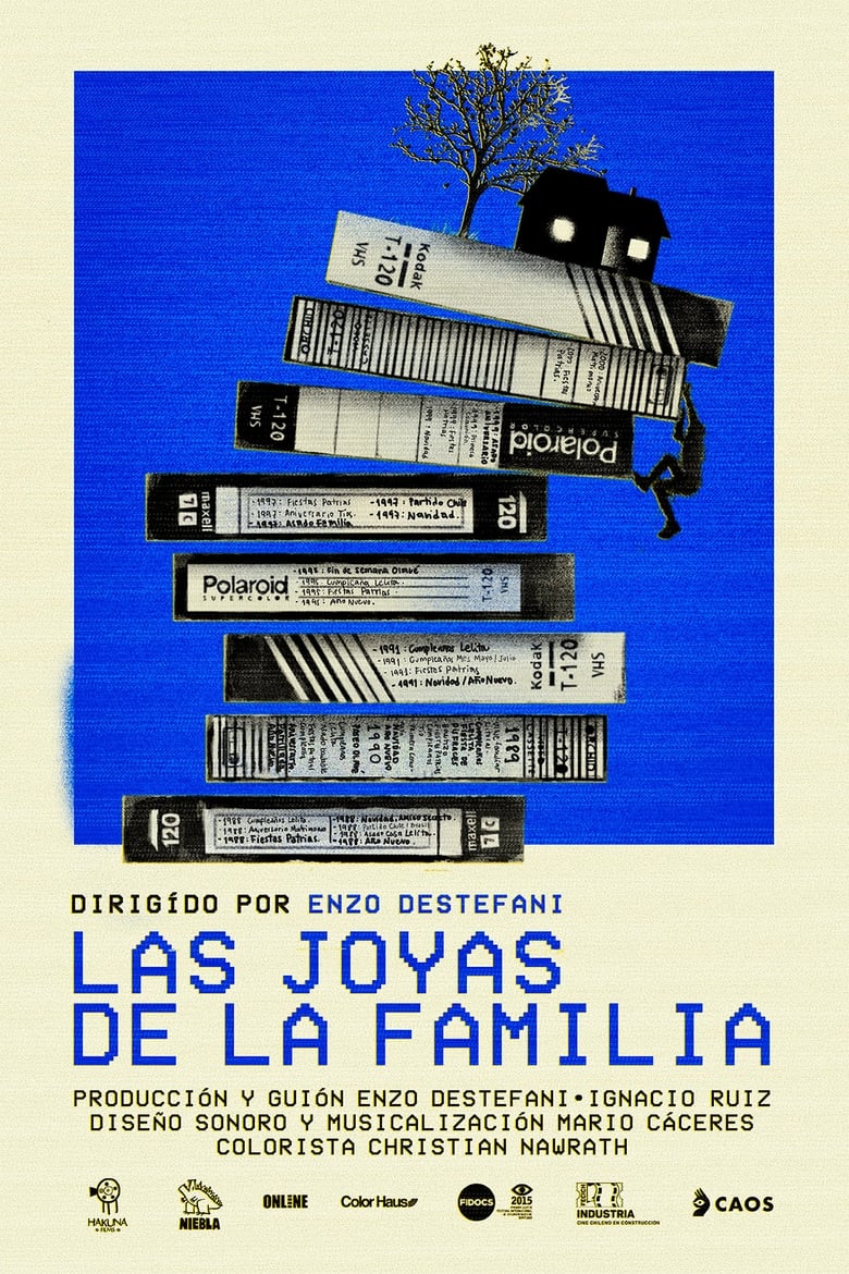 Poster of The family jewels