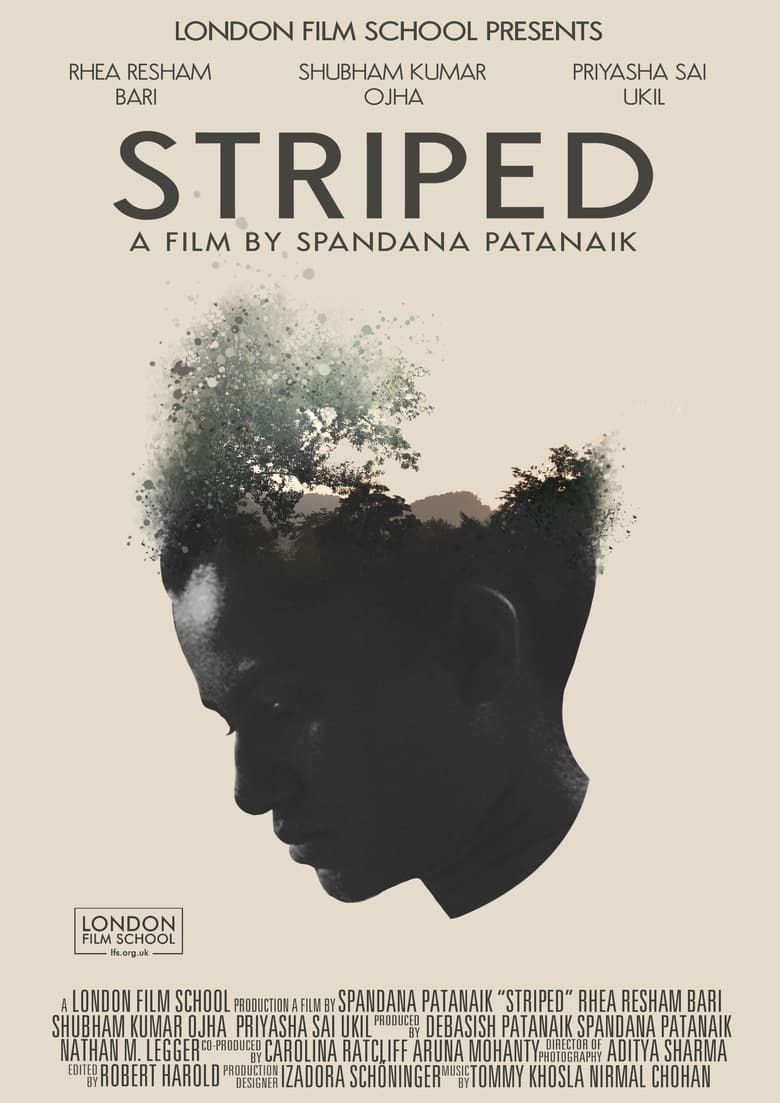 Poster of Striped