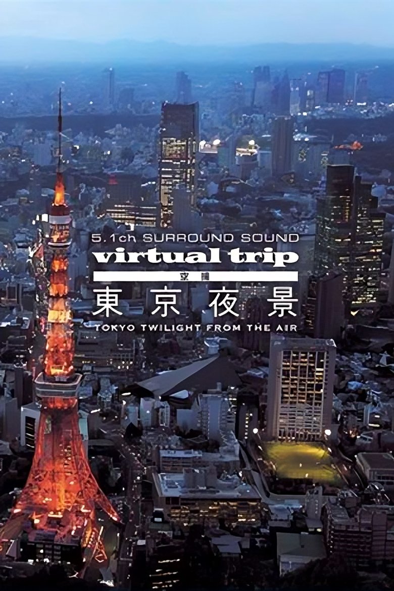 Poster of Virtual Trip: Tokyo Twilight from the Air