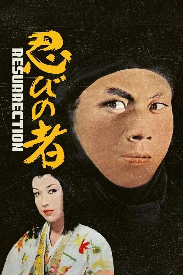 Poster of Shinobi no Mono 3: Resurrection