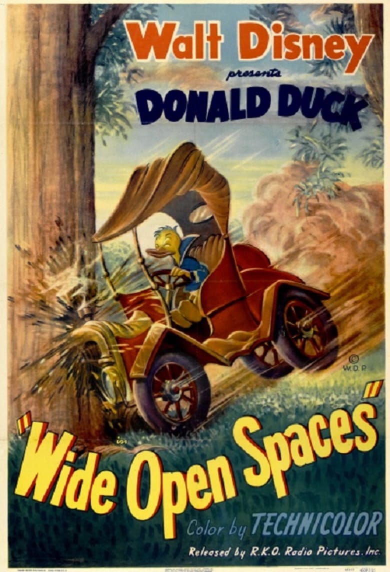 Poster of Wide Open Spaces