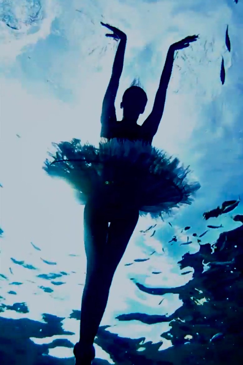 Poster of Bodrum Dream