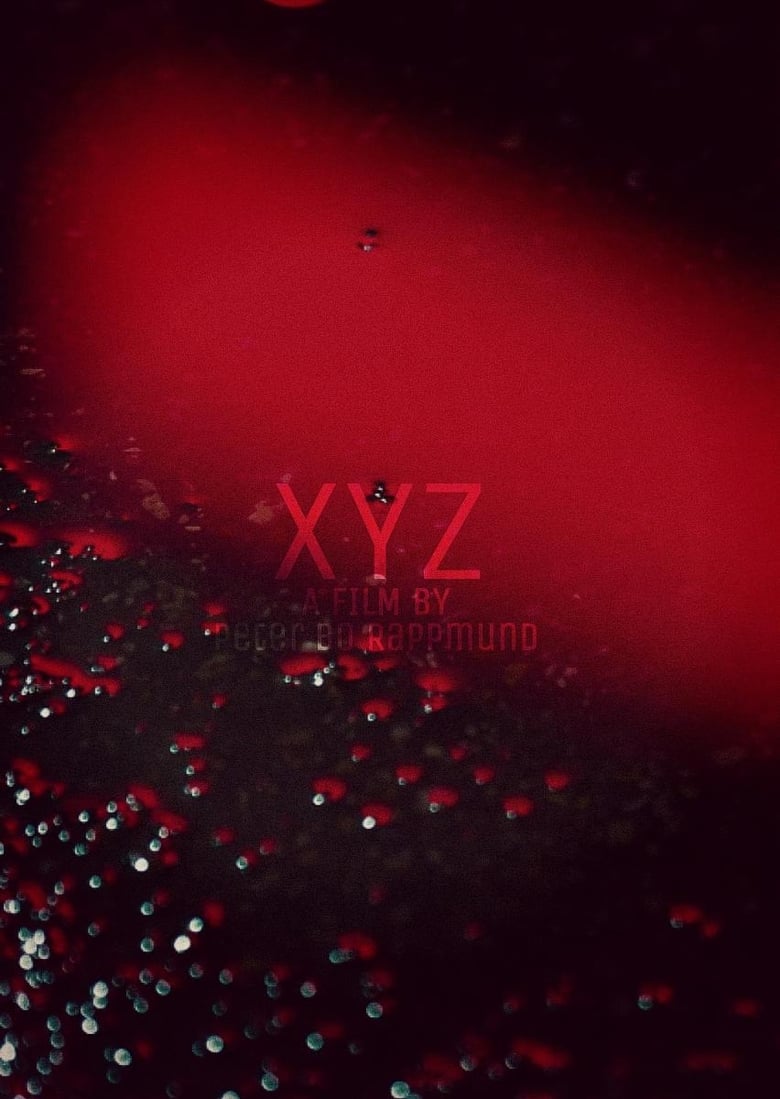 Poster of XYZ