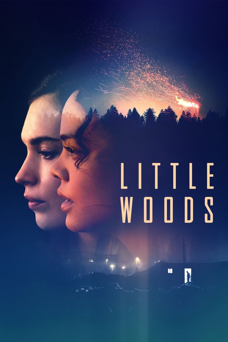 Poster of Little Woods