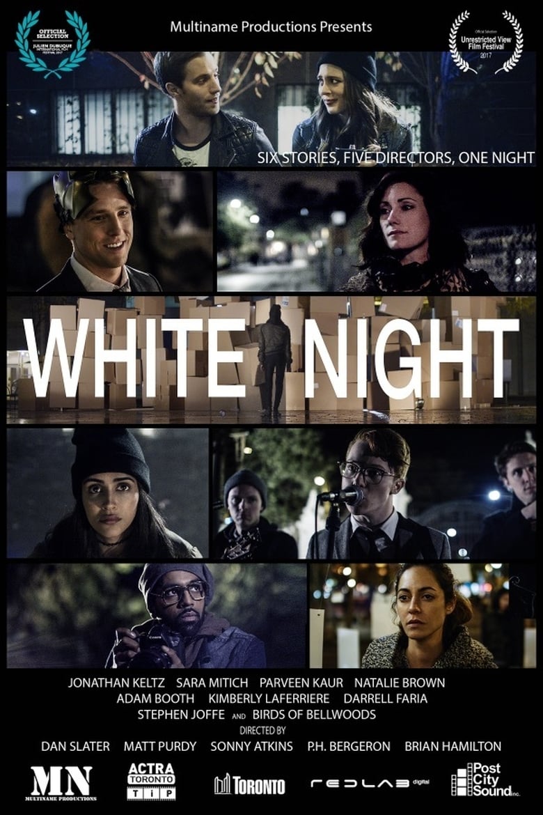 Poster of White Night