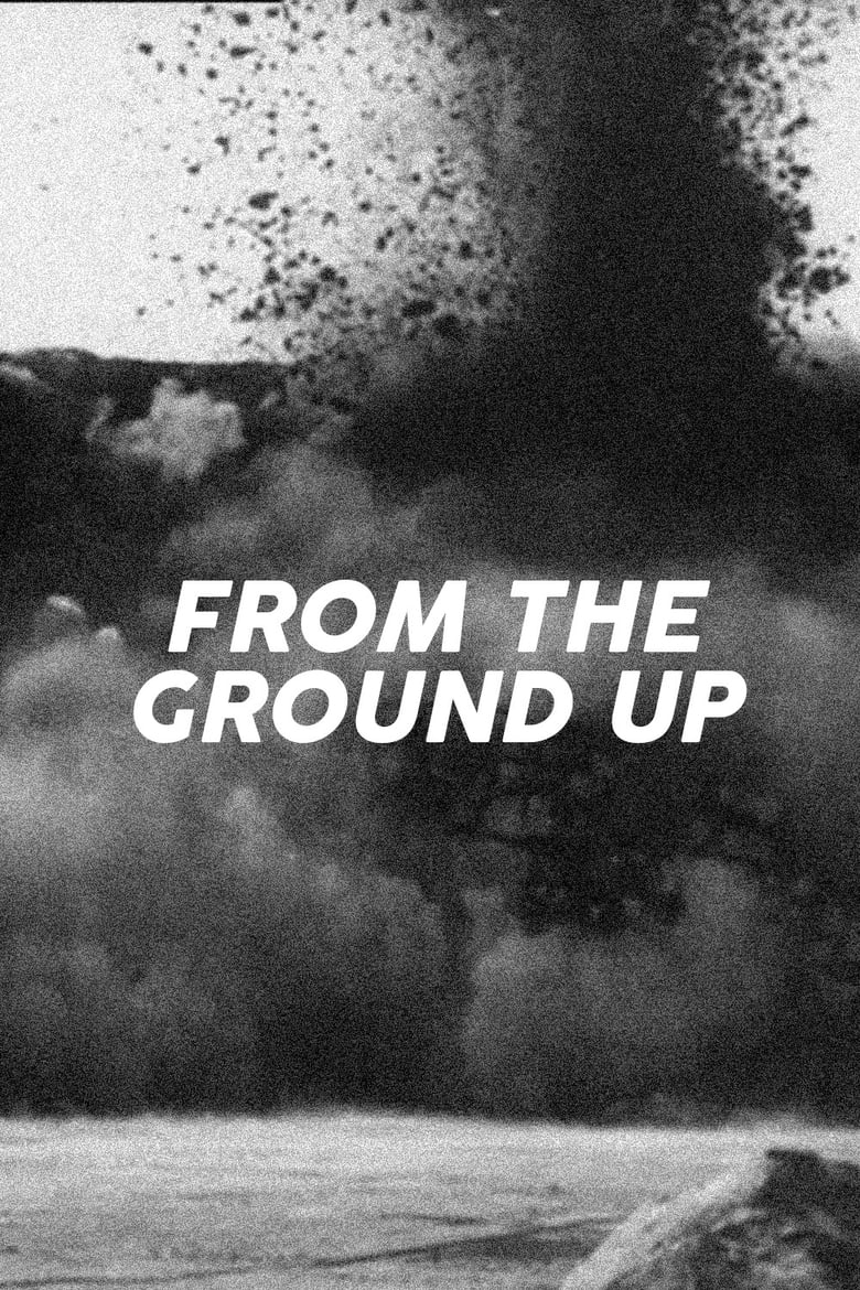 Poster of From the Ground Up