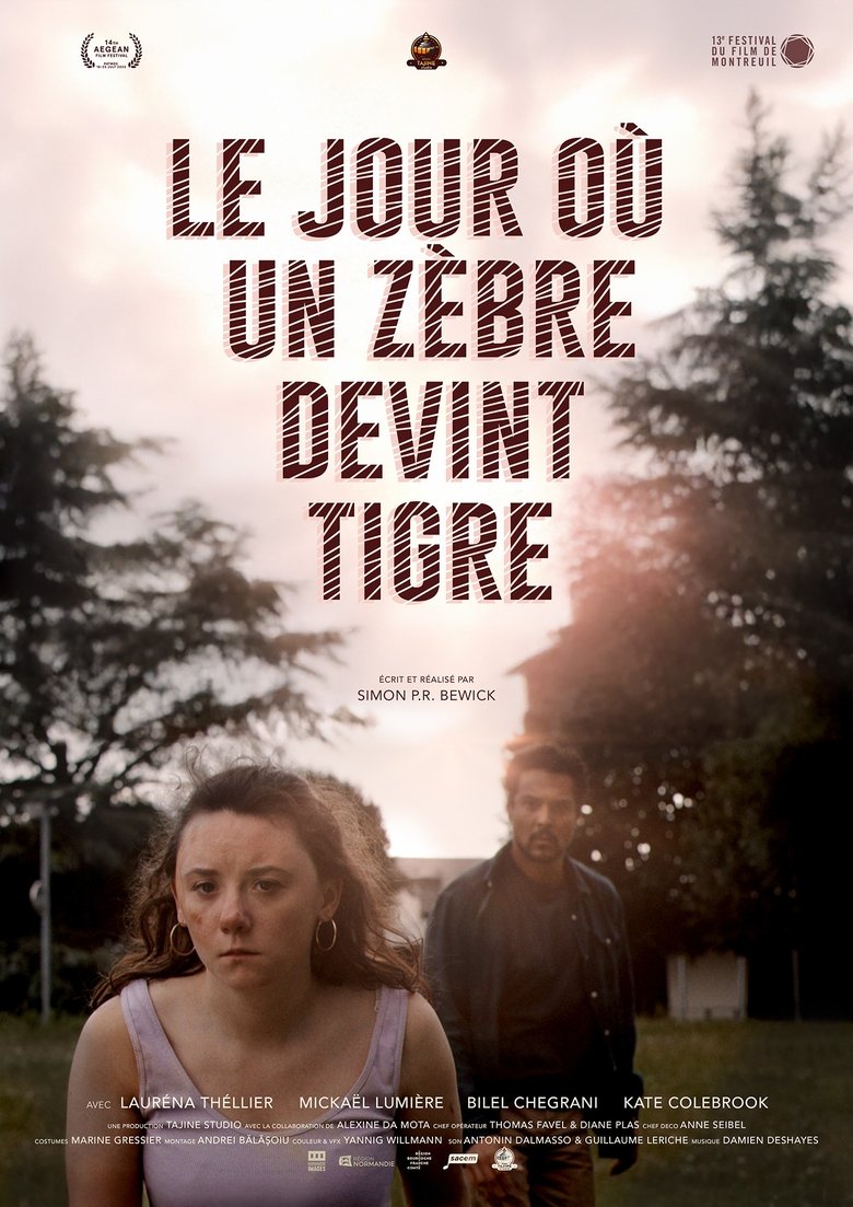Poster of Le jour où un zèbre devint tigre