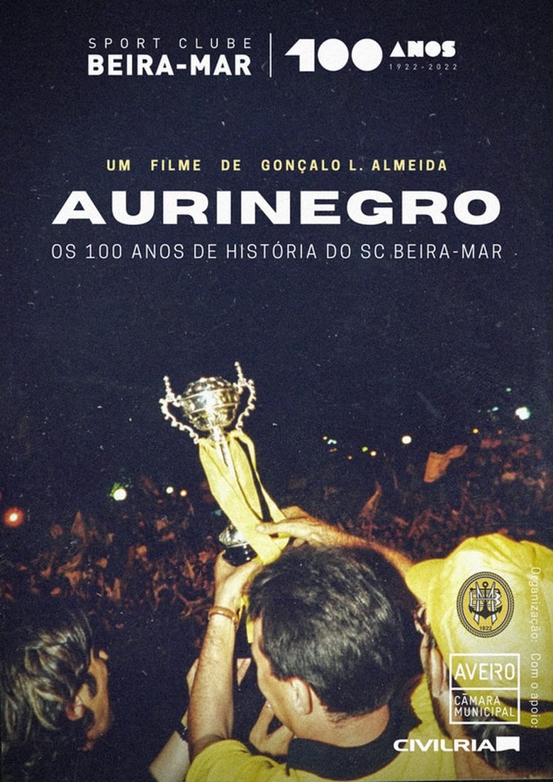 Poster of Aurinegro