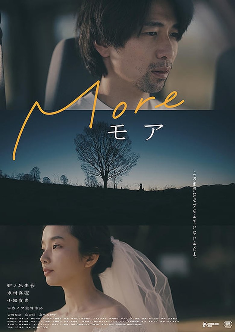 Poster of More