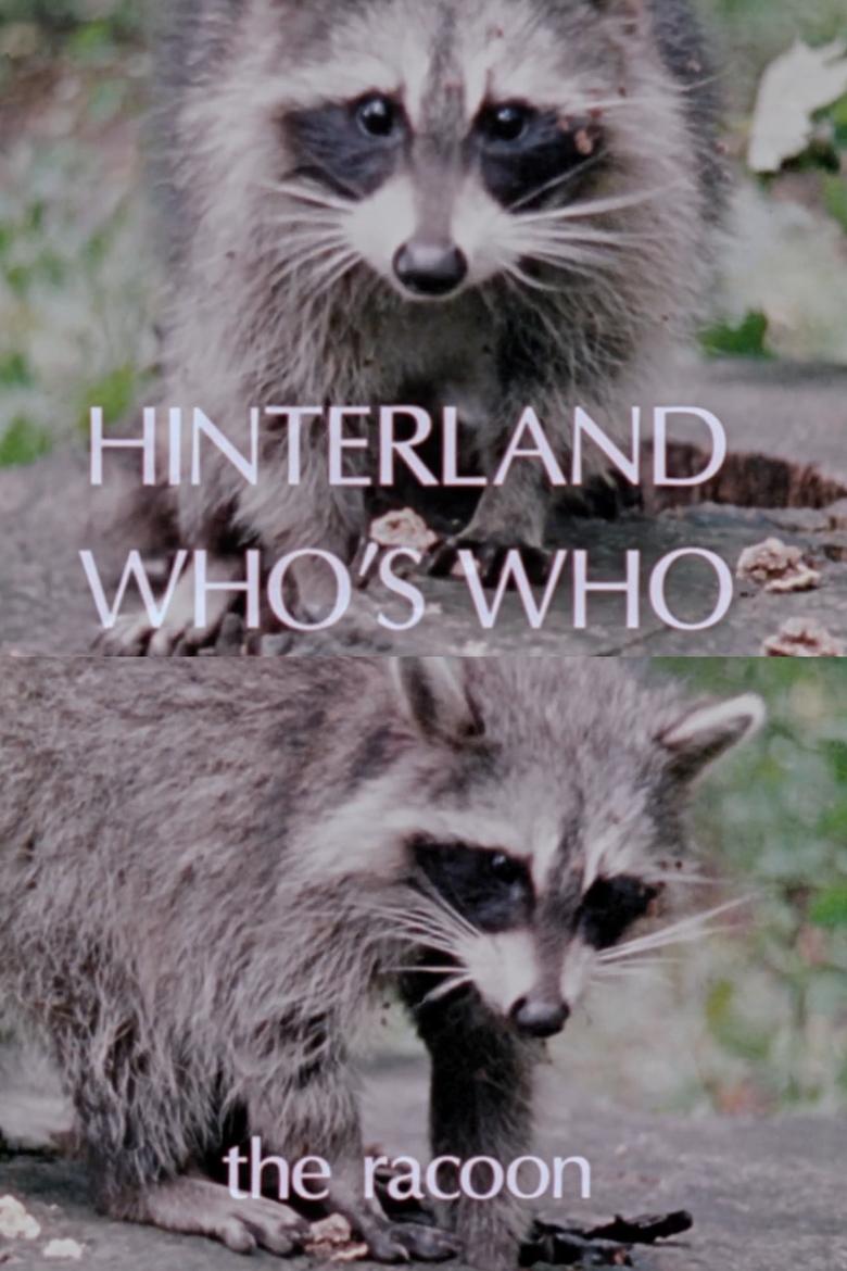 Poster of Hinterland Who's Who: The Raccoon