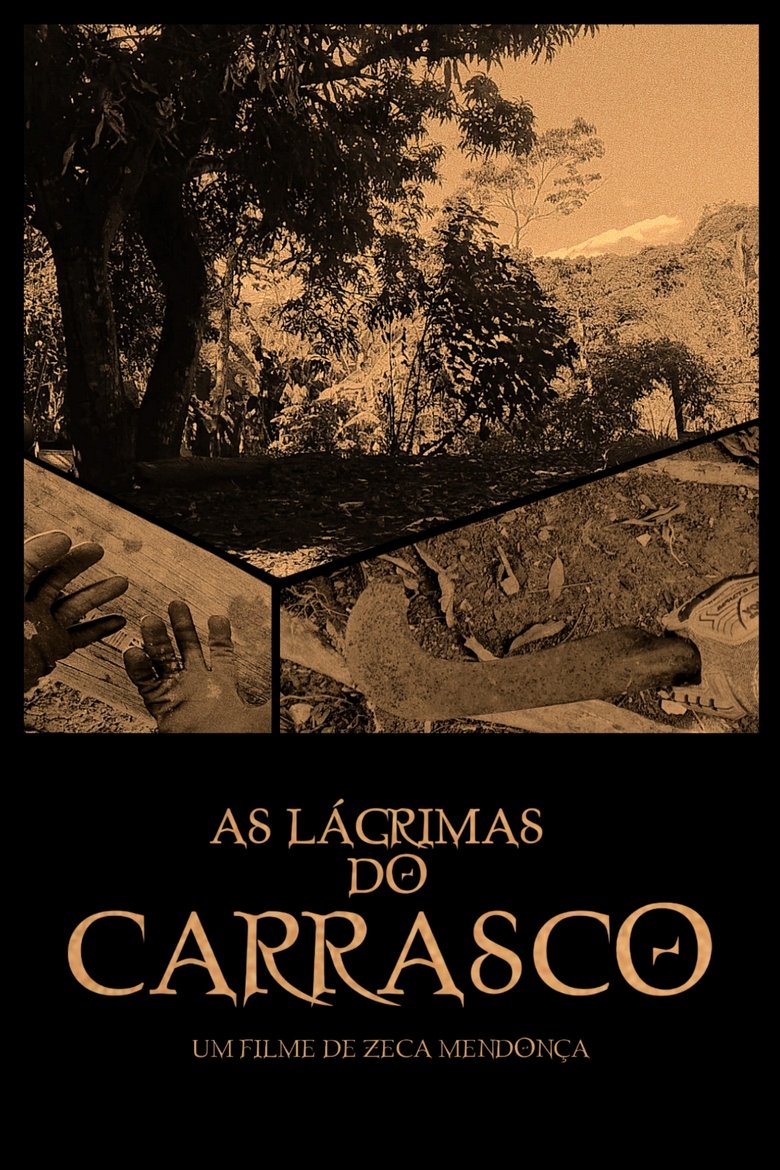 Poster of The Executioner's Tears