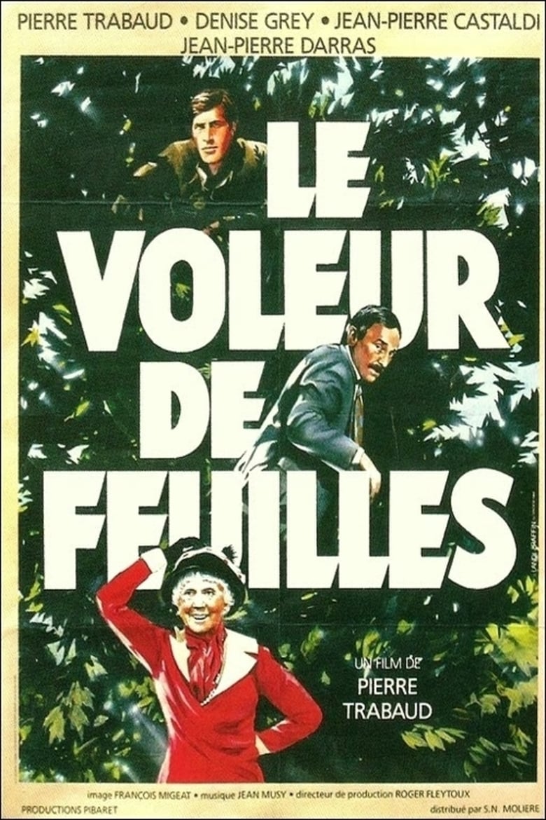 Poster of Le voleur de feuilles