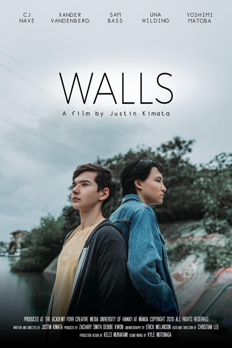 Poster of Walls