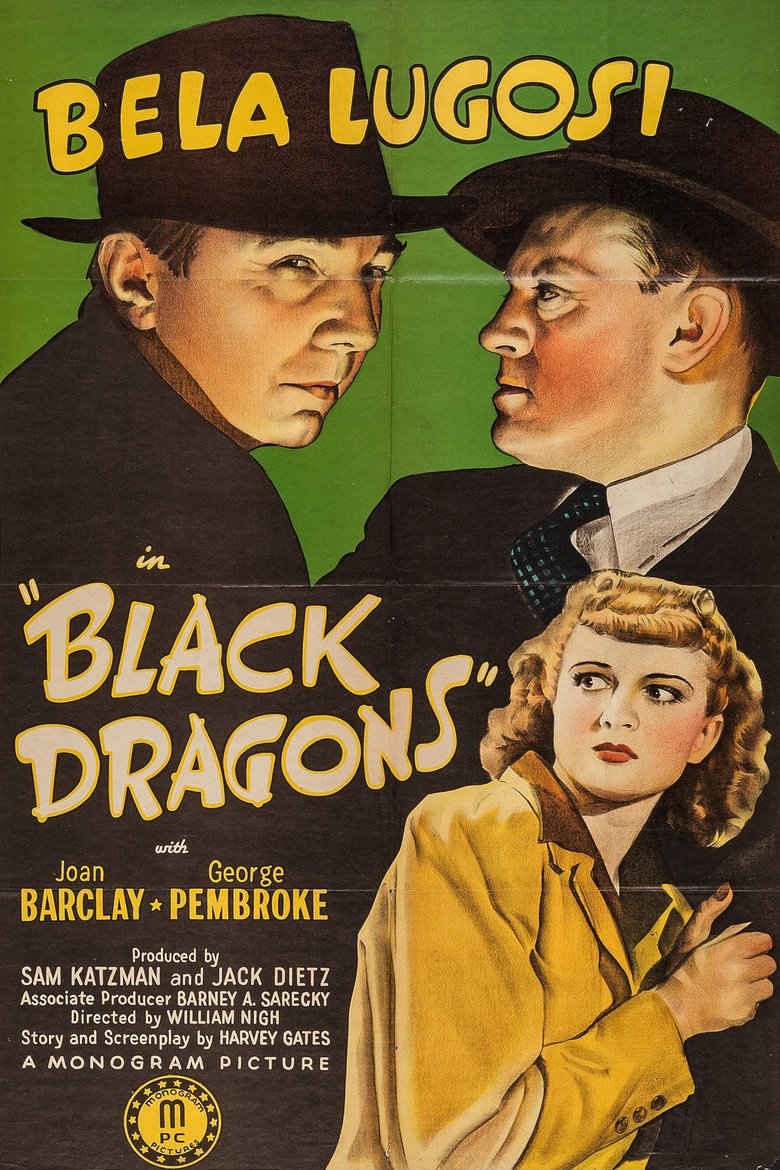 Poster of Black Dragons