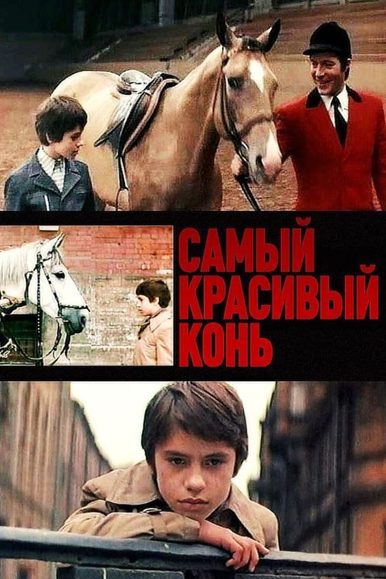 Poster of The Most Beautiful Horse