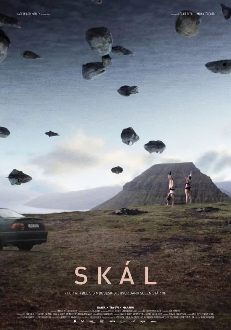 Poster of Skál