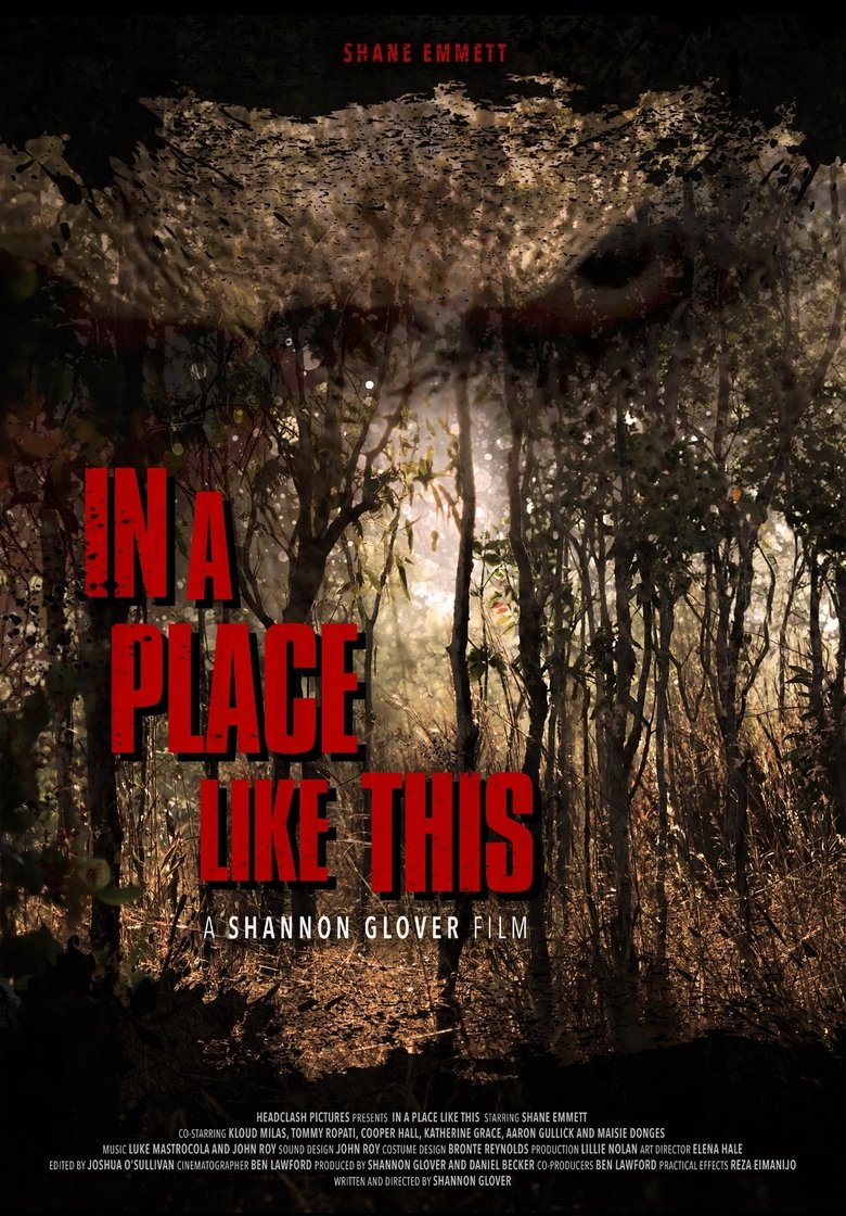 Poster of In A Place Like This