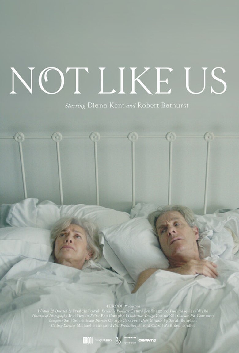 Poster of Not Like Us